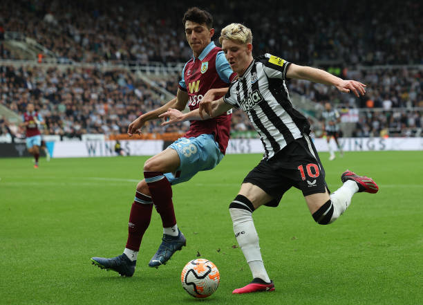 此时积极地 此时积极地